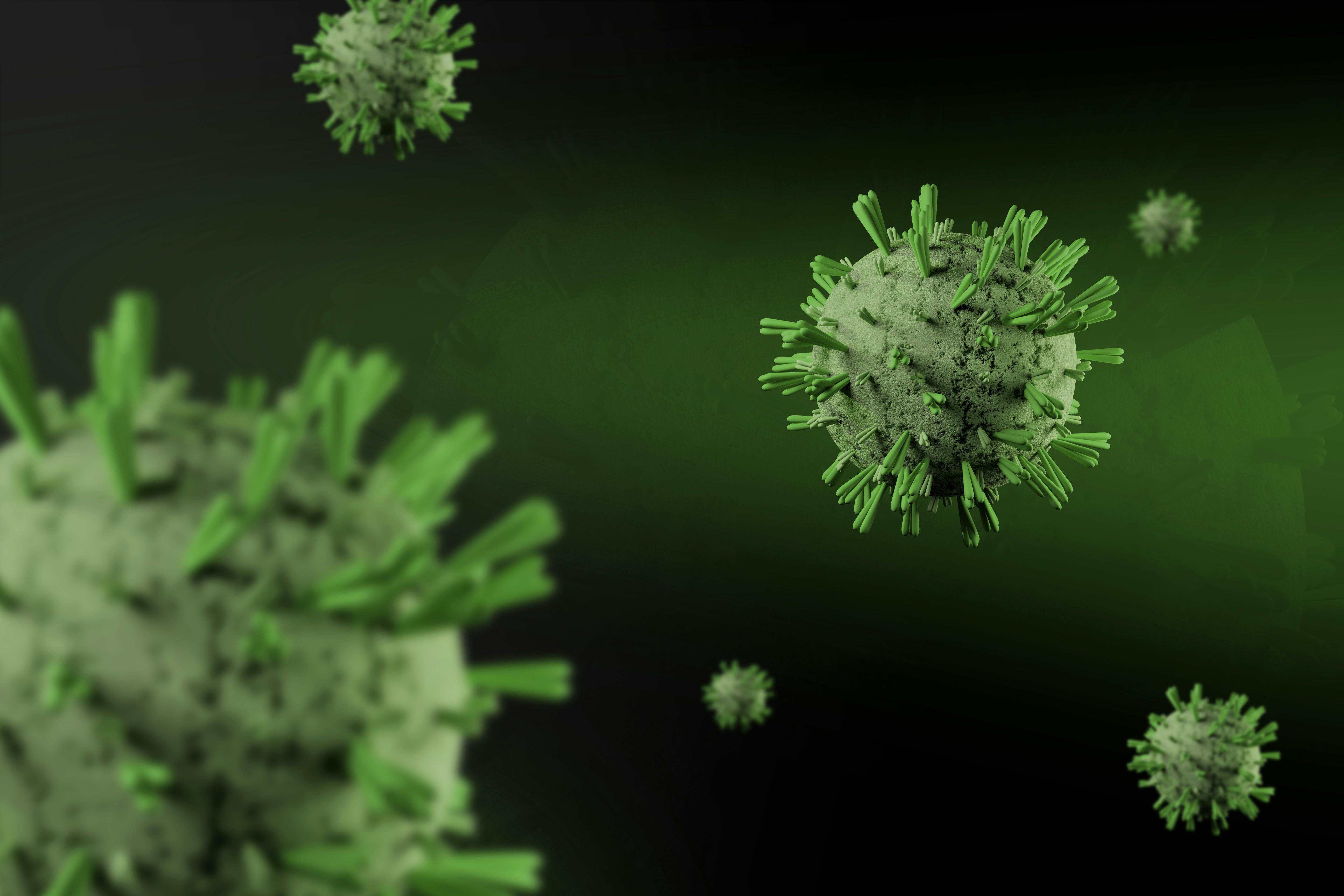 Het Hantavirus uitvergroot. Het Hantavirus uitvergroot.