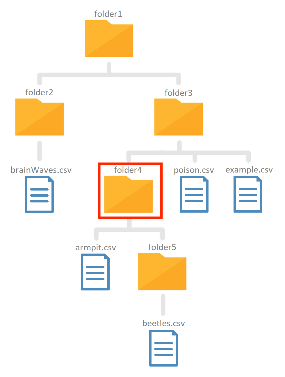 Folder structure