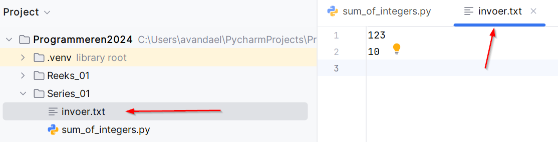 File containing the input data for the program.