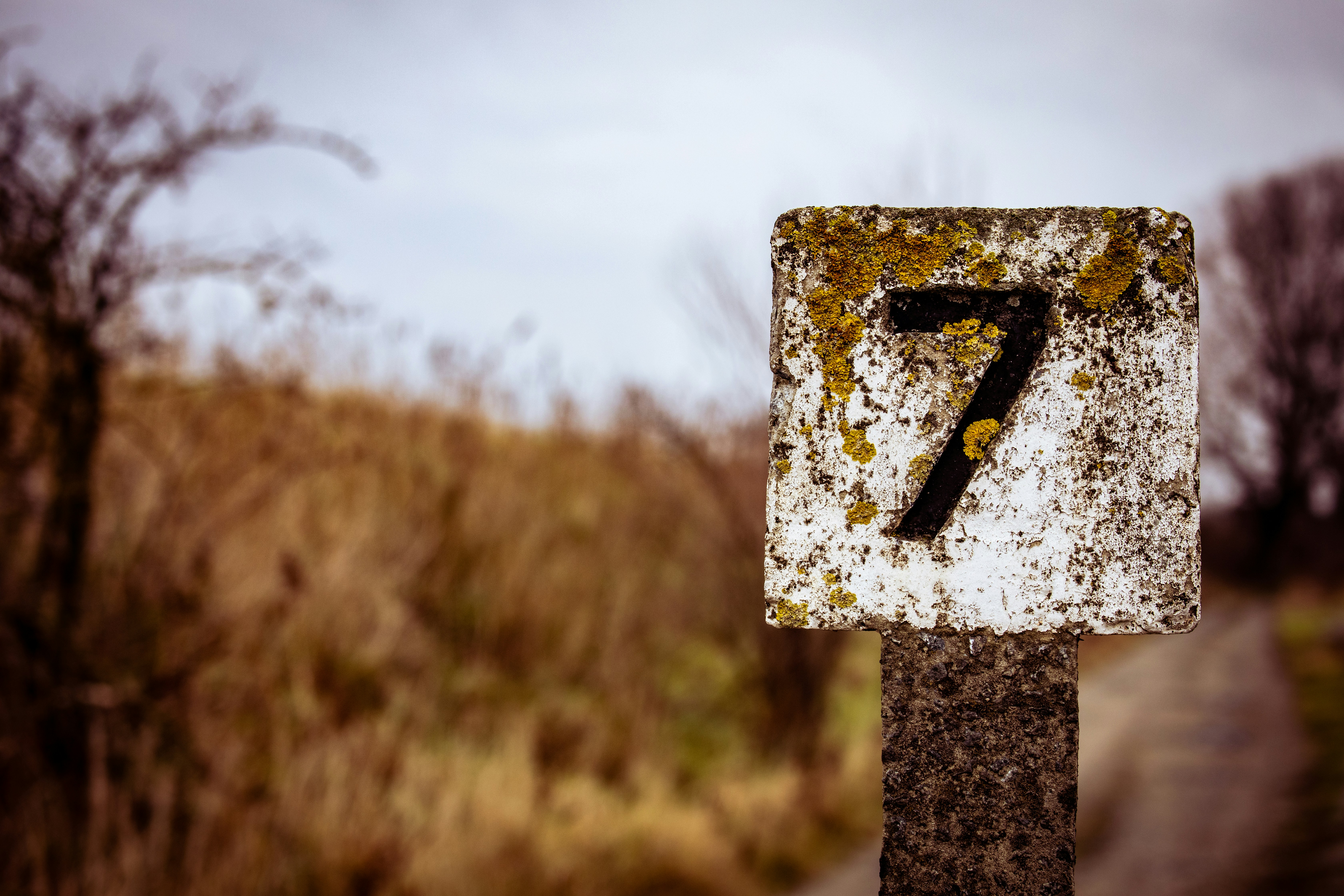 Foto door Jo Coenen - Studio Dries 2.6 op Unsplash. Foto door Jo Coenen - Studio Dries 2.6 op Unsplash.