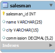 ER-diagram van salesman