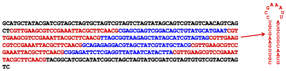 CRISPR