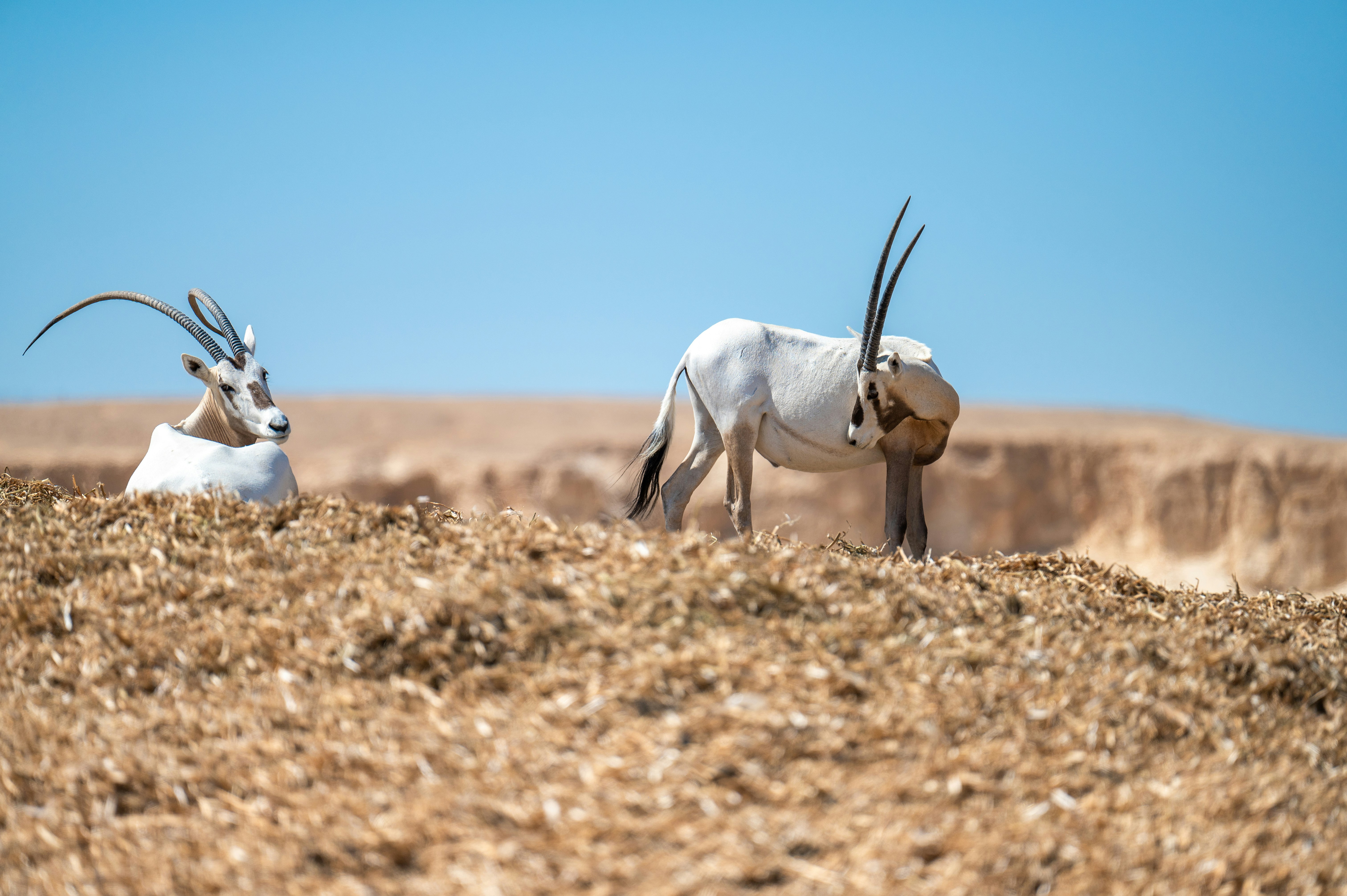 Foto door Gladimir Zuhovitsky op Unsplash.