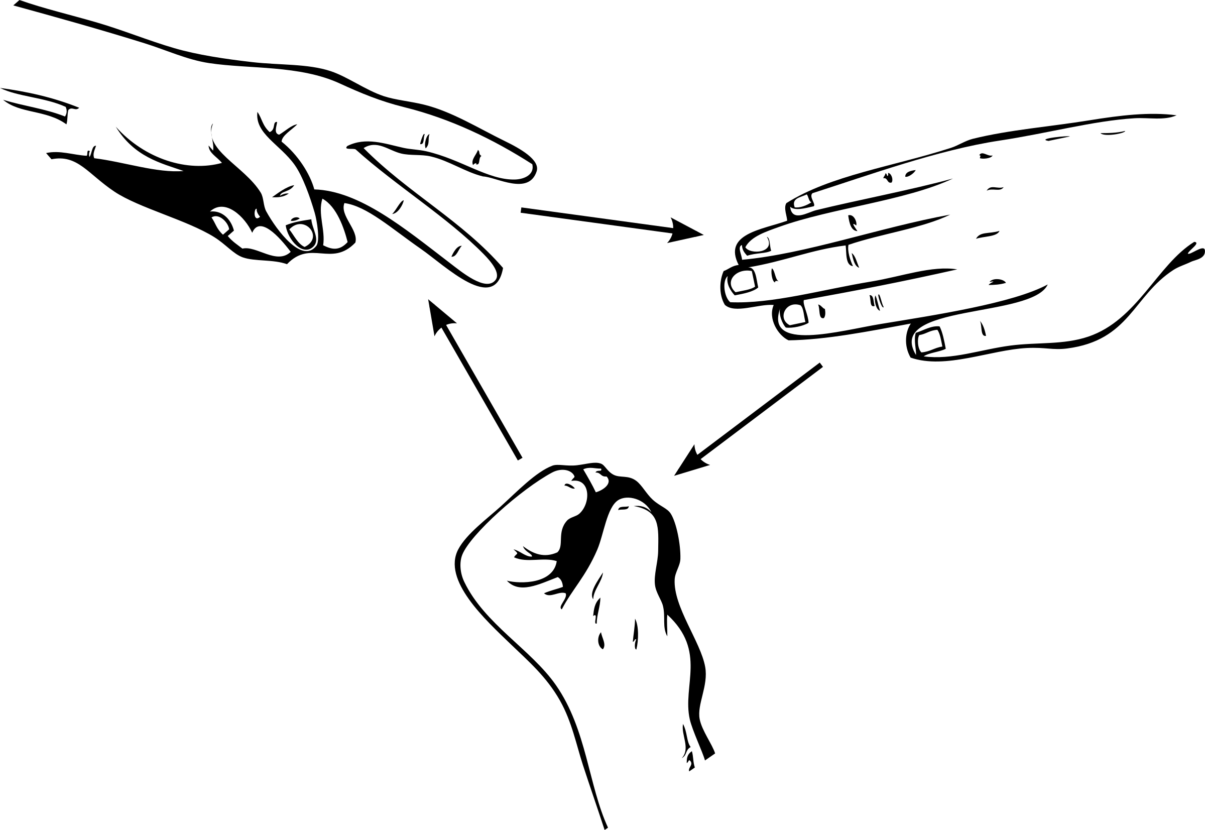 Blad-steen-schaar