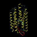 bacteriorhodopsine structure