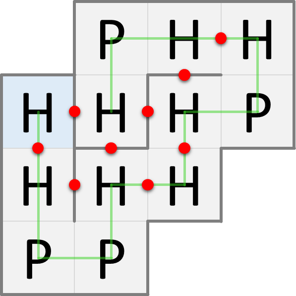 folded protein