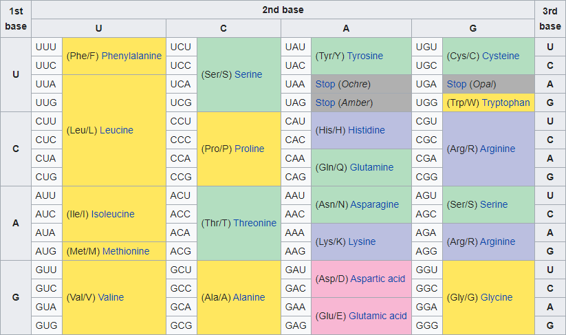 genetic code