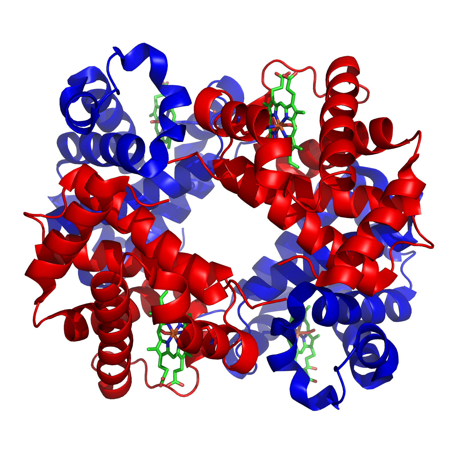 hemoglobin