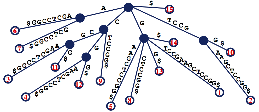 suffix tree