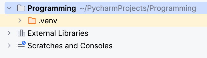 The newly created project.