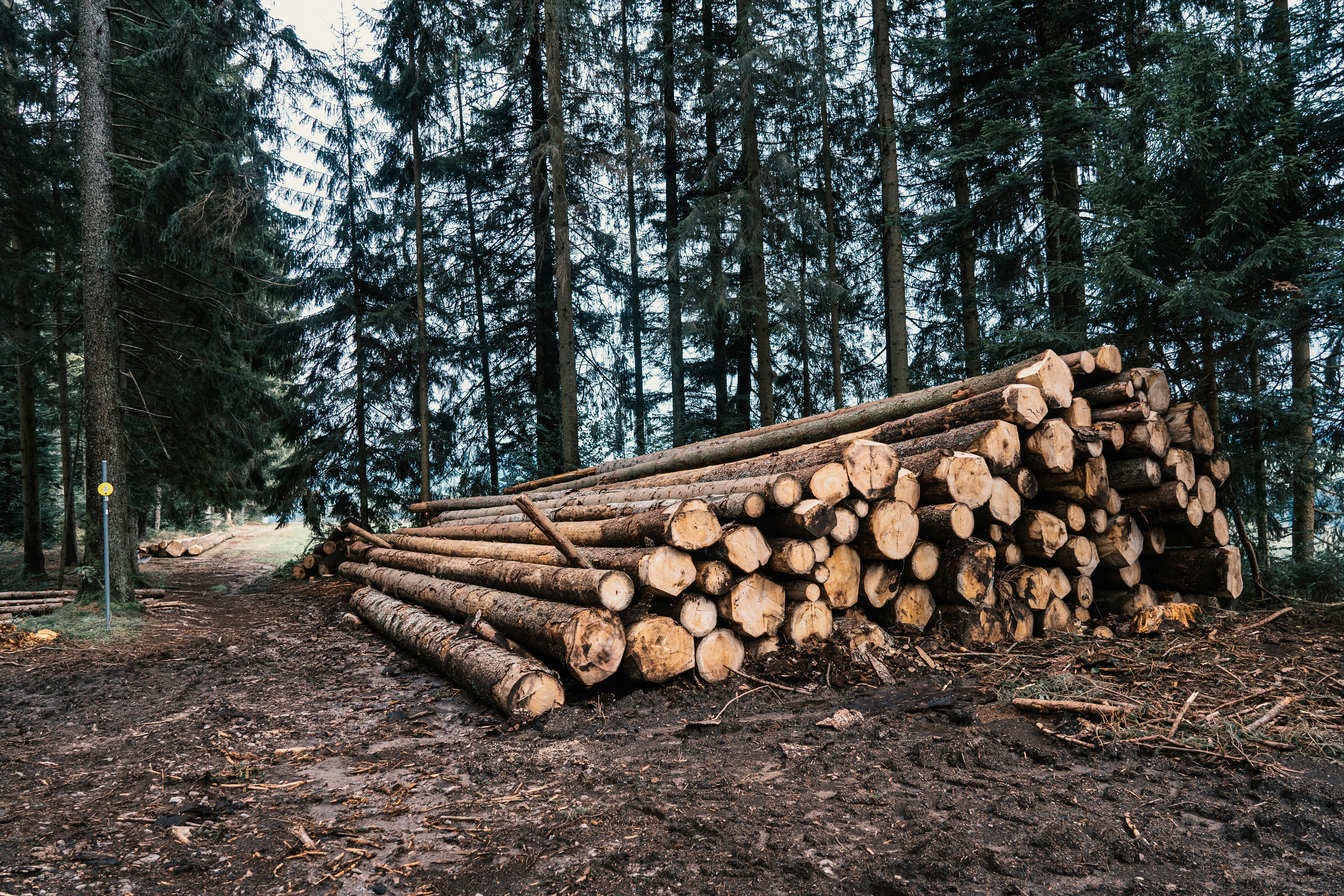Foto door Ruben Hanssen op Unsplash. Foto door Ruben Hanssen op Unsplash.