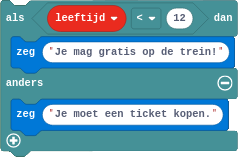 minecraft tweezijdige keuze