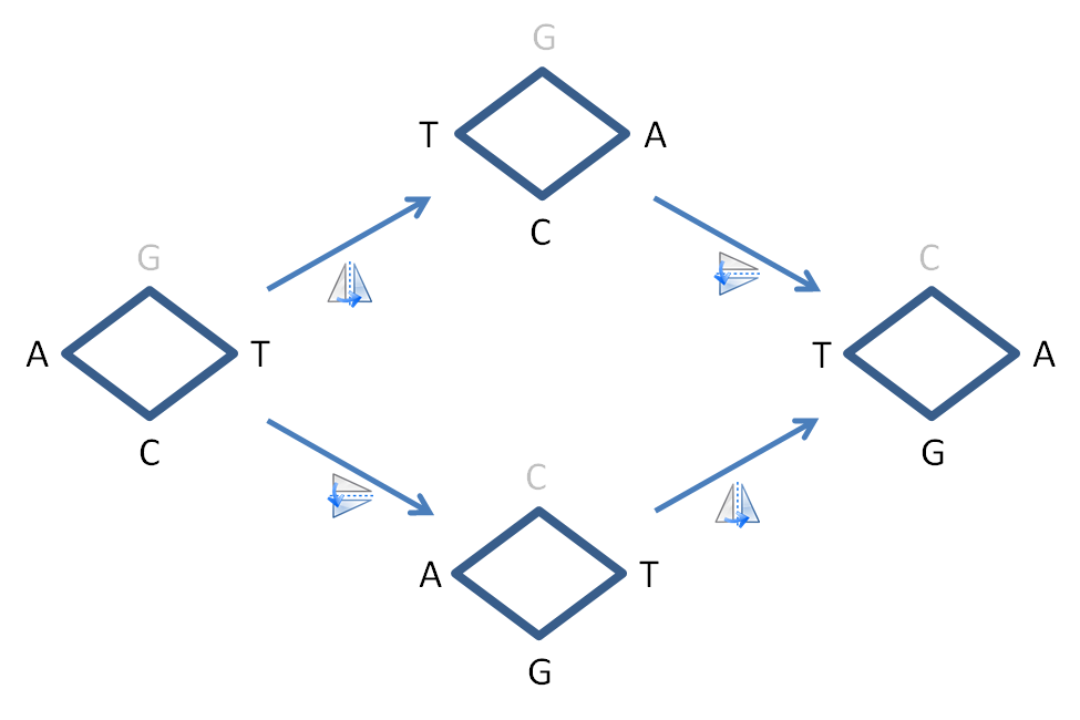 Gamow's diamantcode