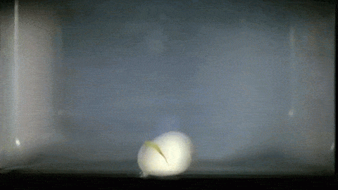 Eieren in een microgolfoven, niet evident! Eieren in een microgolfoven, niet evident!