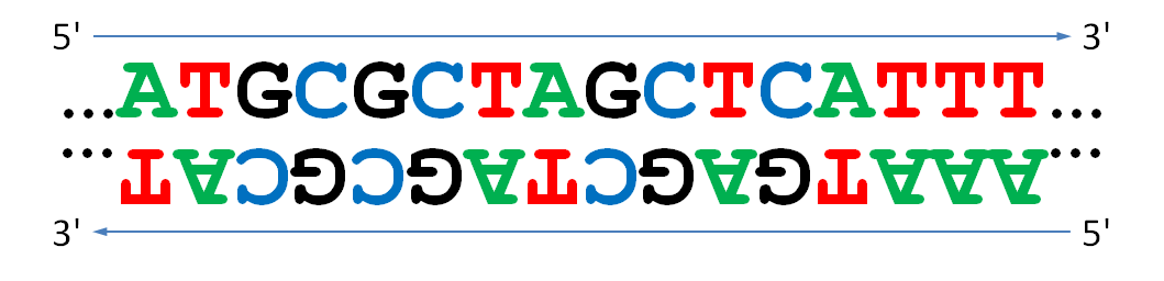 complementarity complementarity