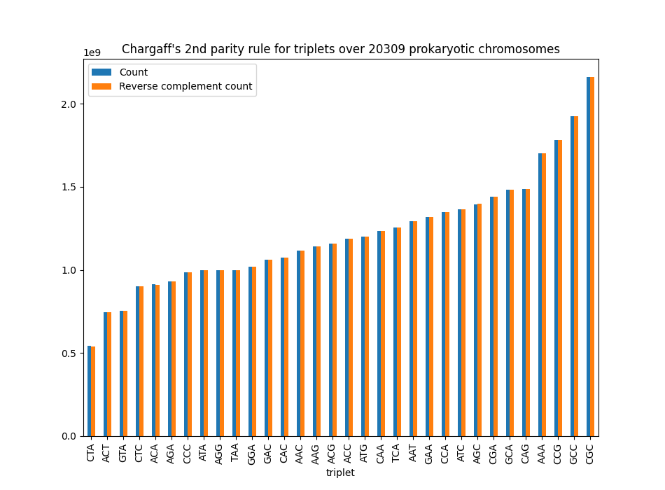 DNA-tripletten DNA-tripletten