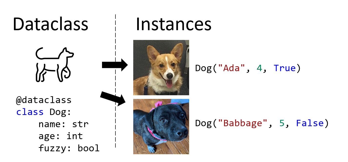 A Dog dataclass definition (an outline sketch of a dog next to its fields, name, age, and fuzzy) with arrows pointing to two concrete Dog instances, each shown with a photo of a real dog next to the constructor call that creates it.