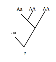 allele pedigree