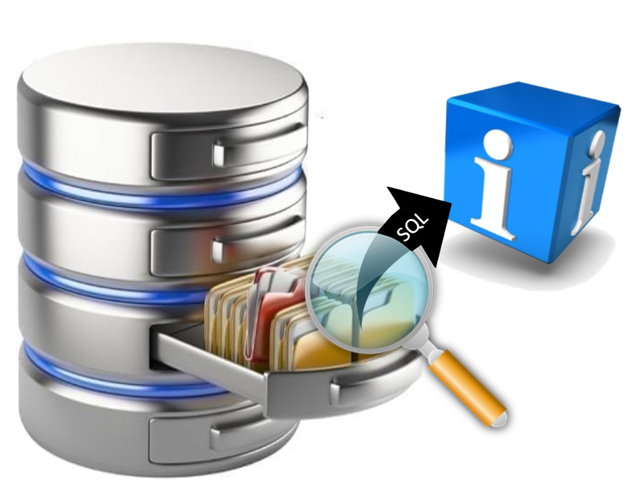 DBMS