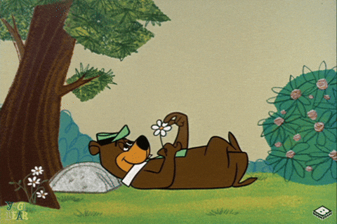 Yogi Bear voert het madeliefjesorakel uit.