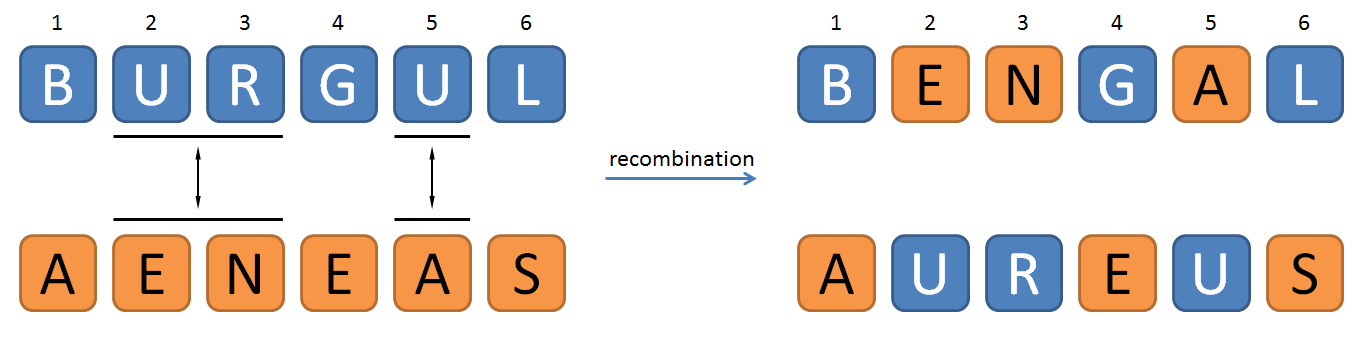 recombination