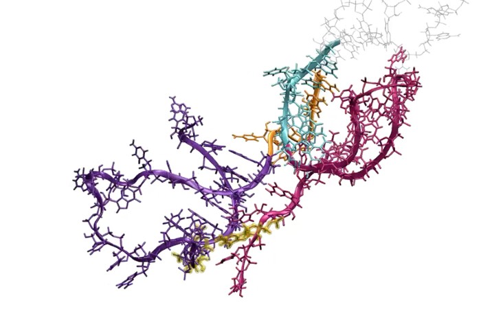 protein folding protein folding