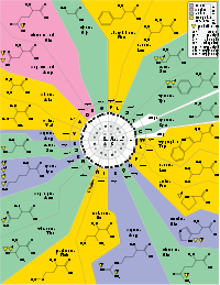 standard genetic code