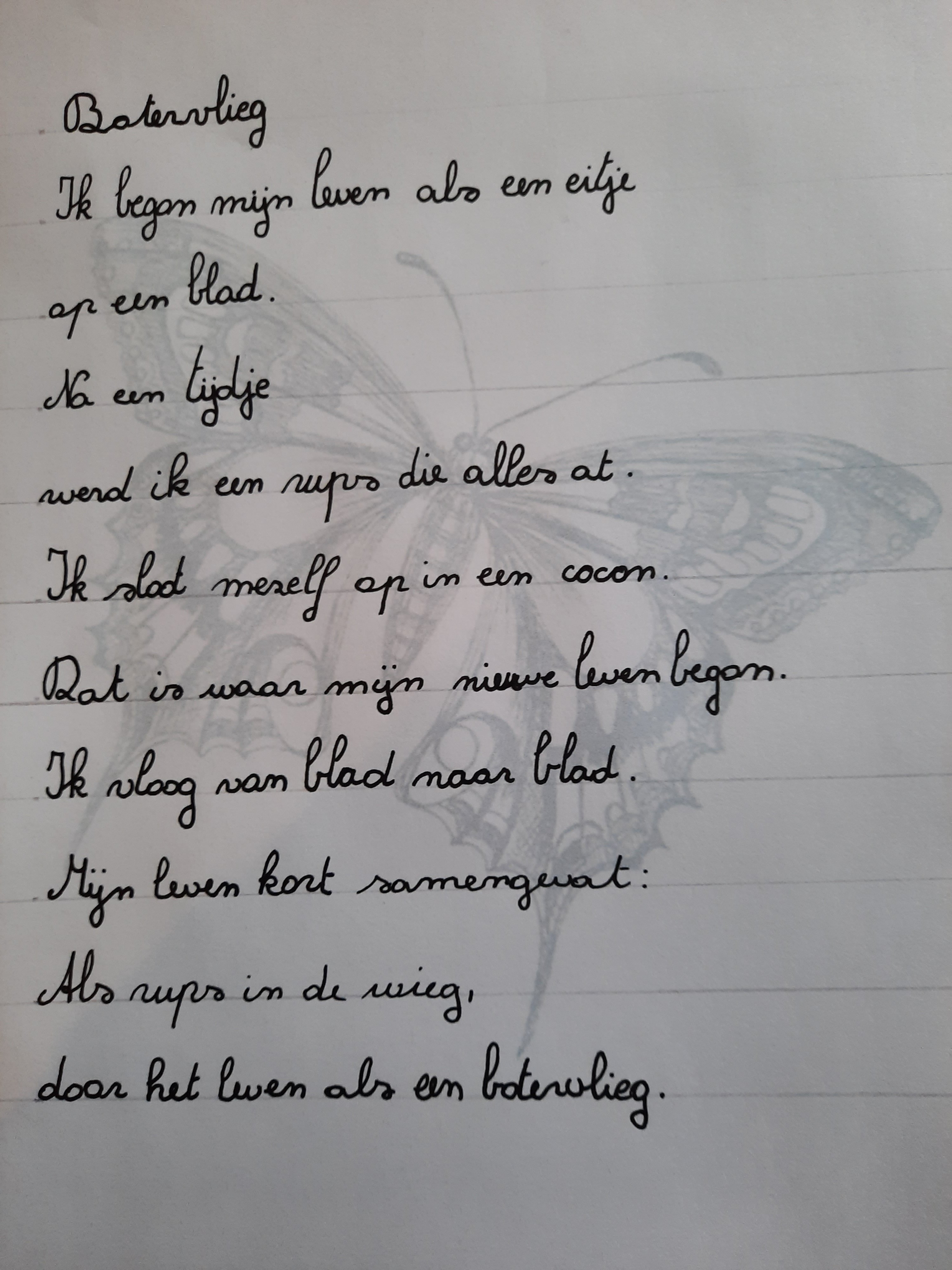 botervlieg botervlieg