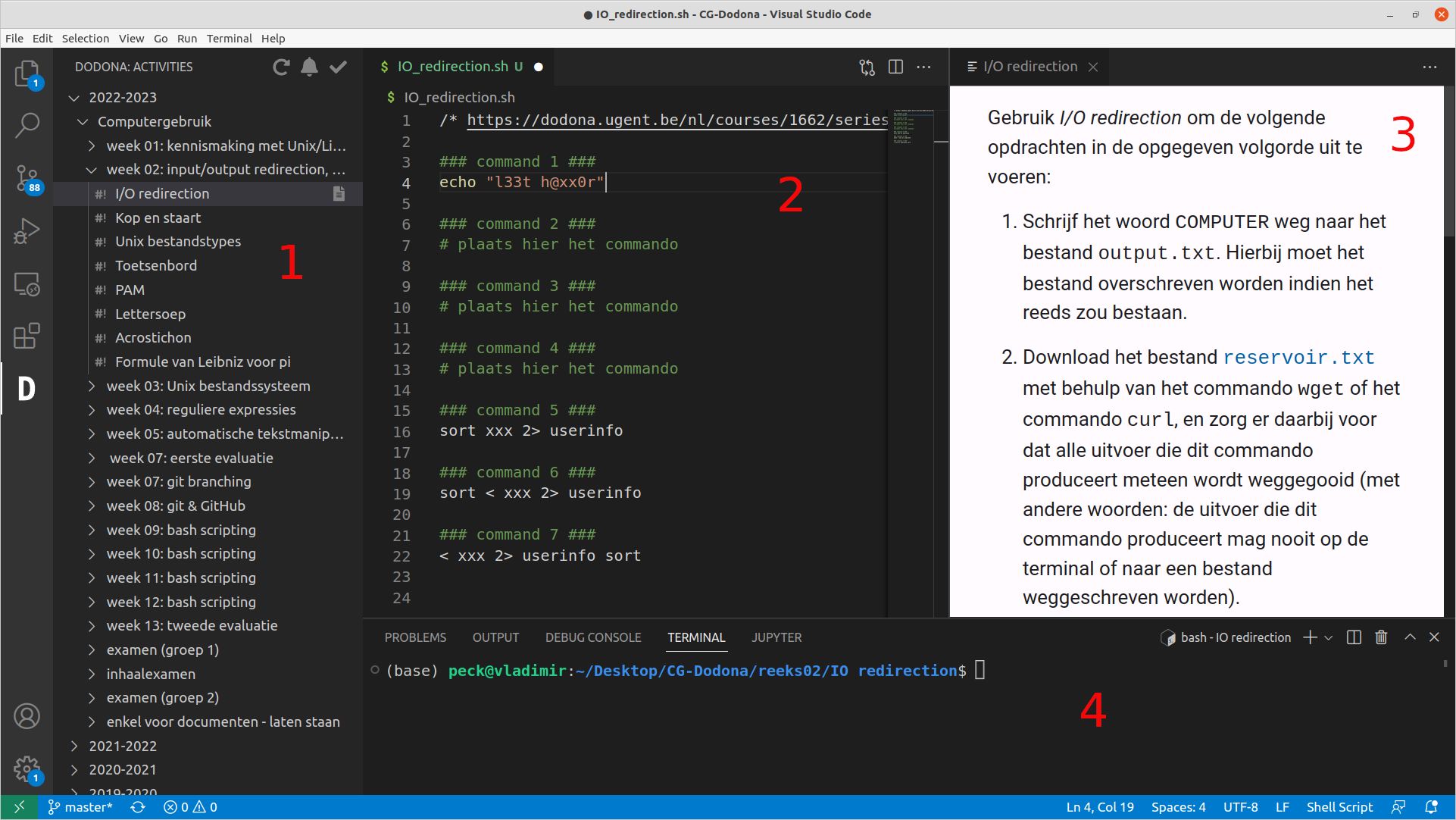 Een voorbeeldsessie van Visual Studio Code met de Dodona-extensie.