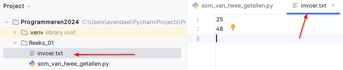 Het input bestand met de invoer die je aan je programma wil geven.