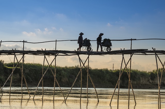Monkey Bridge