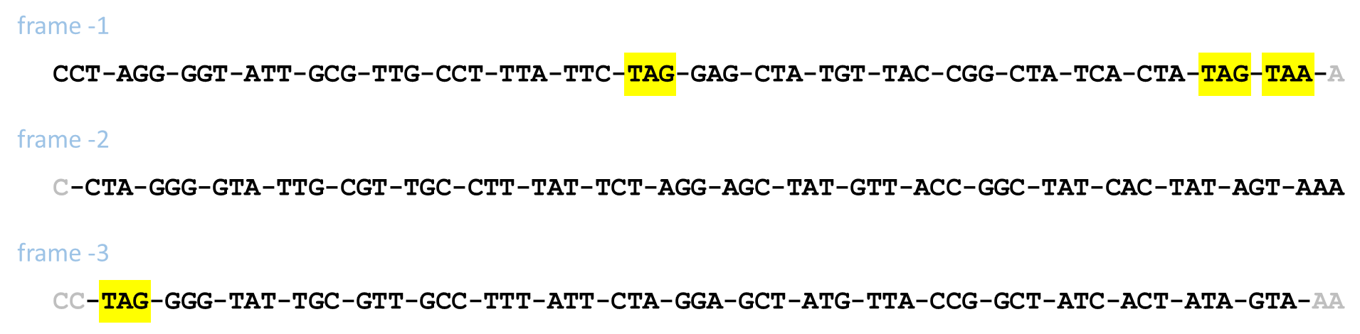 negatieve frames