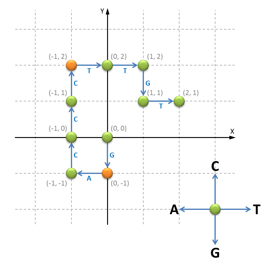 DNA vector