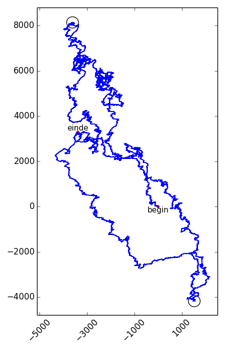 DNA vectorvoorstelling van H. influenza