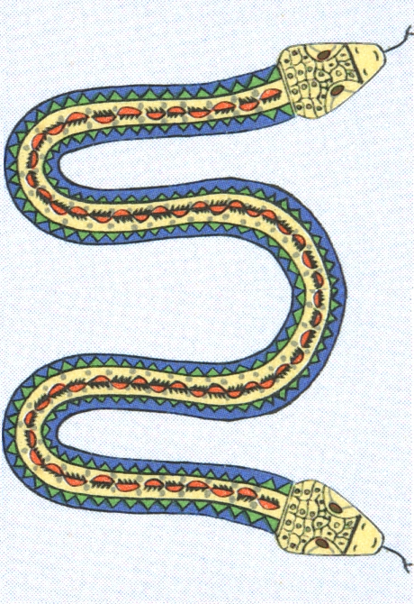 Amphisbaena
