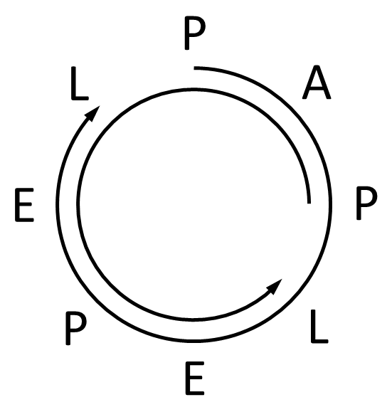 paplepel