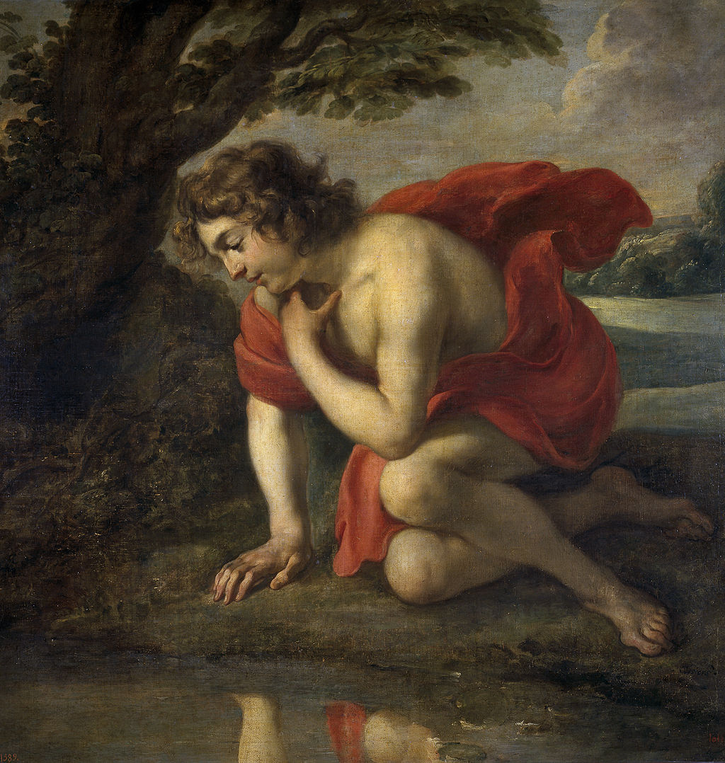 narcissus narcissus