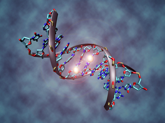 DNA-methylatie