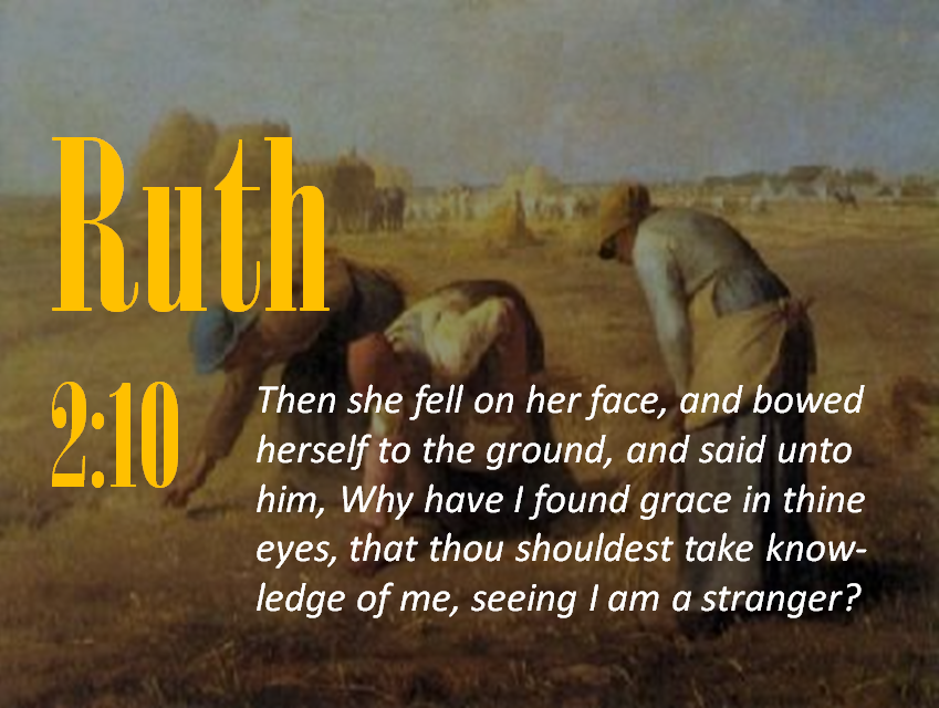Ruth 2:10