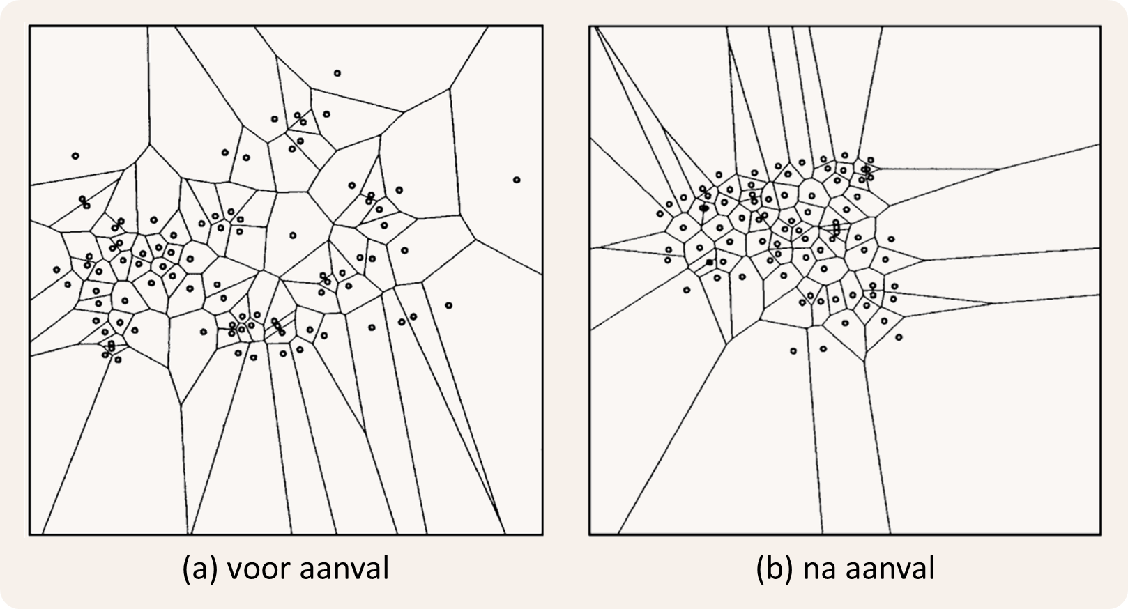 aangevallen wenkkrabben