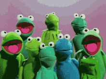 De Muppets, het perfecte koor