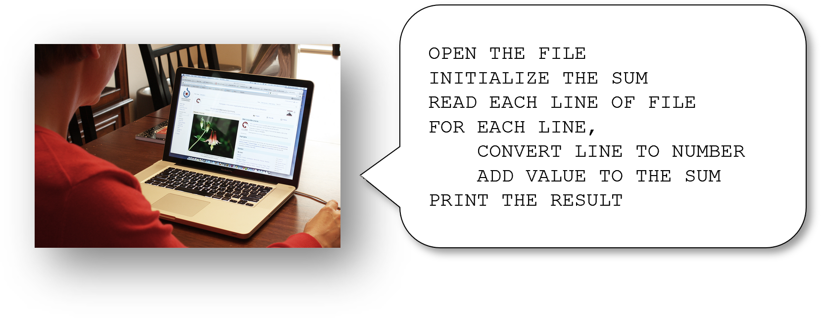Photo, seen over the shoulder, of a woman using a laptop, to illustrate writing instructions in a programming language.
