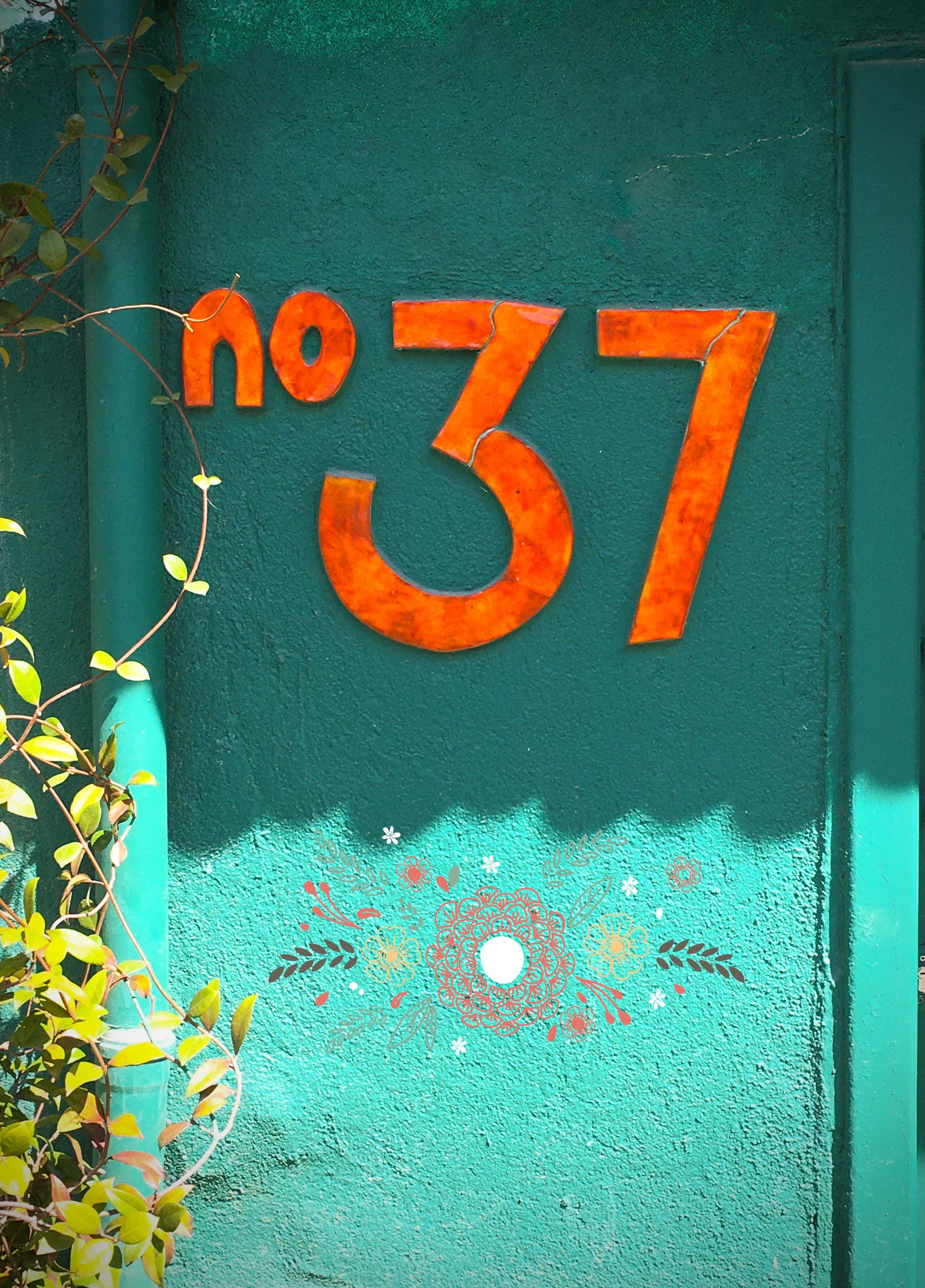 Foto door Selman Korun