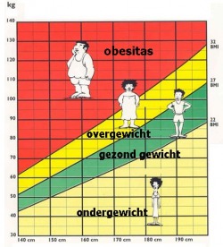 BMI volwassenen